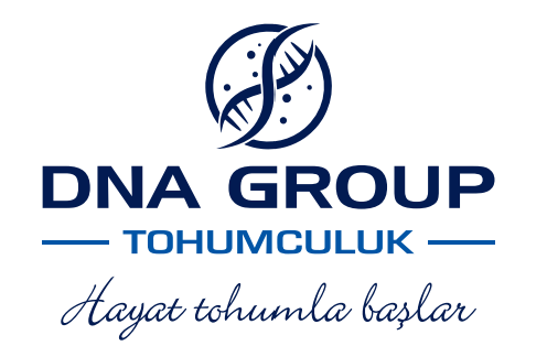 Dna Group