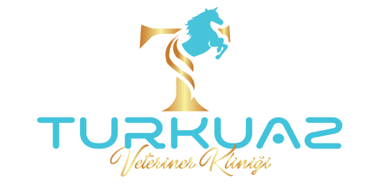 Turkuaz Veteriner Kliniği